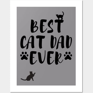 Best cat dad ever Posters and Art